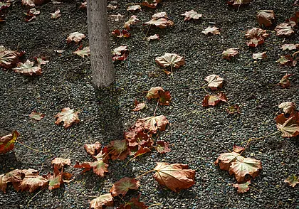 Погружение в глубокую осень. Прогноз погоды на неделю с 16 по 22 октября