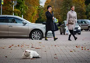 Белстат о населении страны: 7,18 миллиона – жители городов