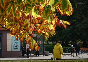 «Работа и в 72 хорошо, вон принц Чарльз в 73 устроился». Жизнь глазами бобруйчан