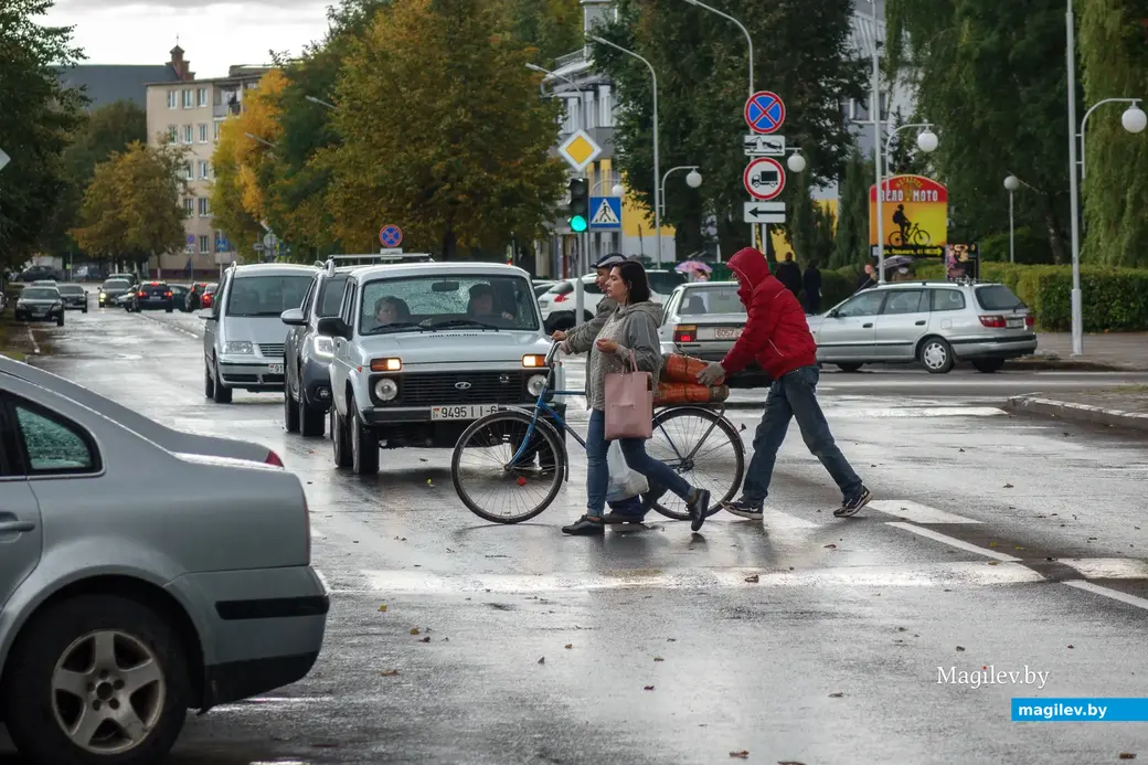 21.09.2022. Бобруйск. Начало осени. Золото пробивается в кронах