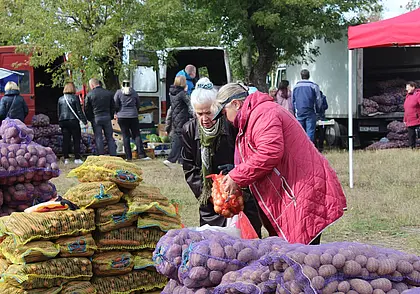 Сельхозярмарки будут работать в шести точках Могилева в предстоящие выходные