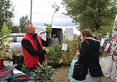 Две сельхозярмарки будут работать в Могилеве в первые октябрьские выходные