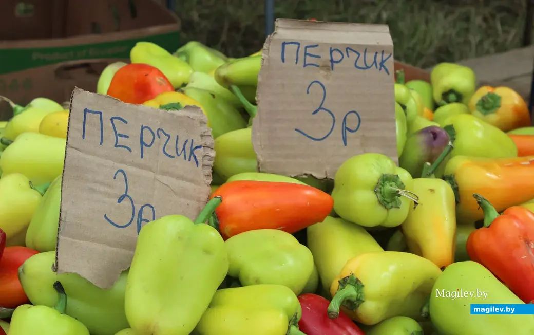 Ярмарка сельхозпродукции в поселке Гребенево. Могилев, 24 сентября 2022 года.