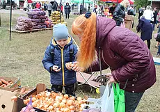 Три ярмарочные площадки сельхозпродукции будут работать в Могилеве 14-15 октября