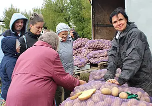 Где пройдут сельхозярмарки 1 и 2 ноября в Могилеве – последние в этом сезоне