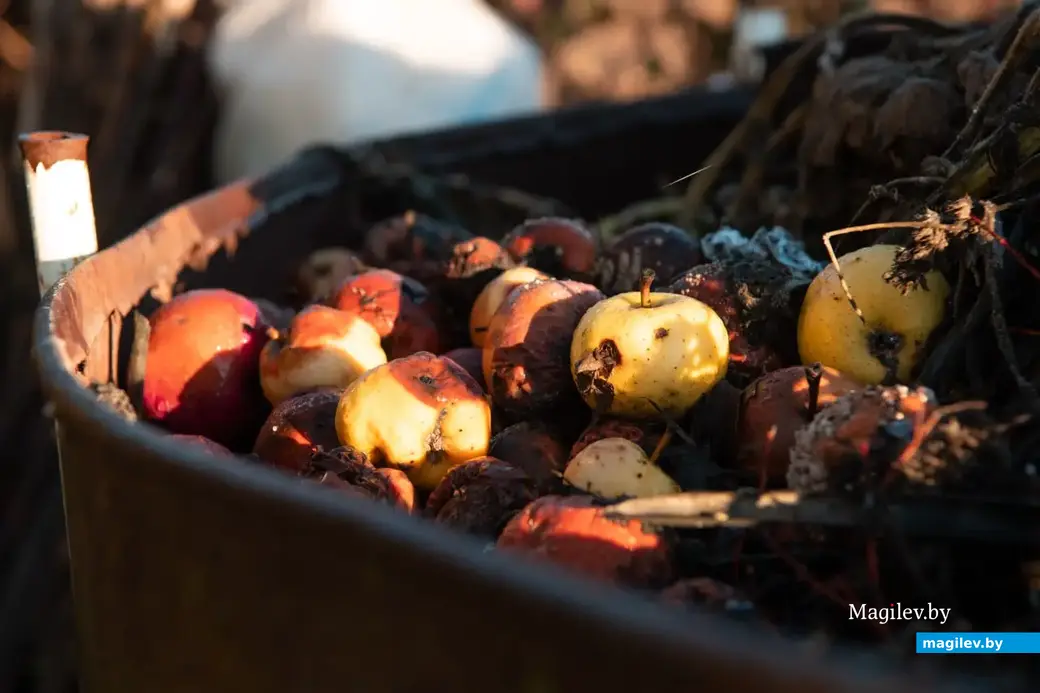 Сентябрь 2022 г. В деревне Брожа Бобруйского района