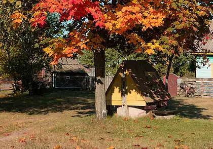 «Пенсию за раз оставляю в магазине»