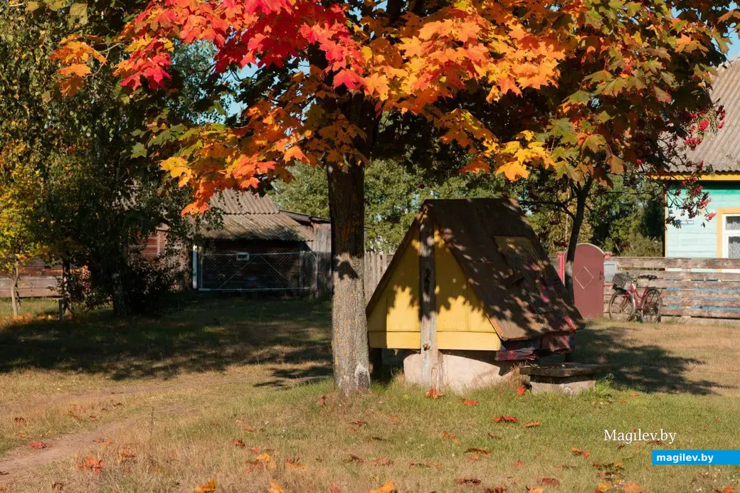 Сентябрь 2022 г. В деревне Брожа Бобруйского района