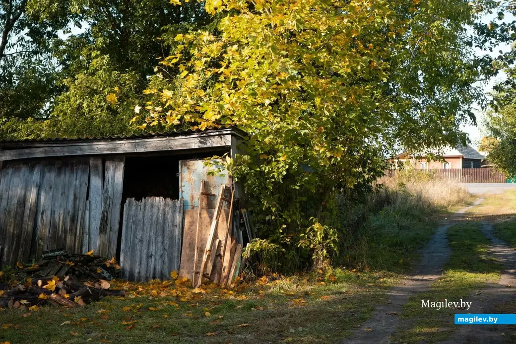 Сентябрь 2022 г. В деревне Брожа Бобруйского района