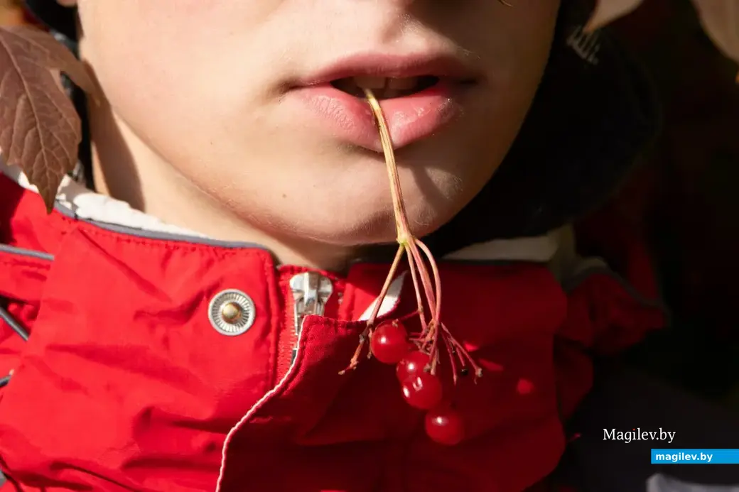 Сентябрь 2022 г. В деревне Брожа Бобруйского района