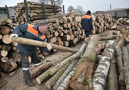 ТОП-10 вакансий с зарплатой от 1 000 рублей в Бобруйске