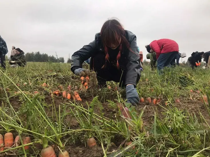Фото: сайт МГУ им. А. Кулешова