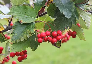 Октябрь начинается с потепления. Прогноз погоды на выходные