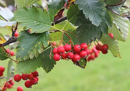 Октябрь начинается с потепления. Прогноз погоды на выходные