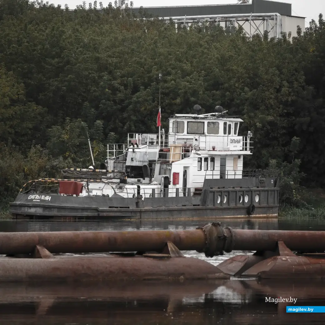 27.09.2022. Бобруйск. Осень на Березине в районе Фандоковского моста