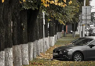 Туманы и северный ветер. Прогноз погоды на неделю с 29 сентября по 5 октября