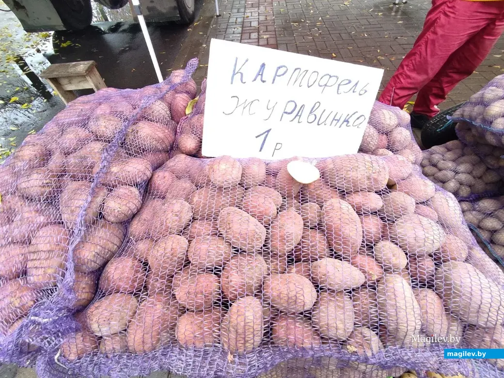 Праздник урожая «Багач». Могилев, площадка у ДК области. 1.10.2022 г
