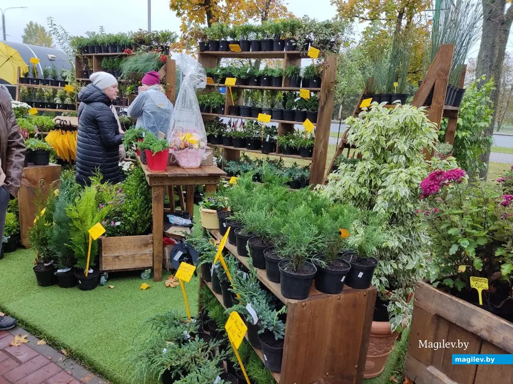 Праздник урожая «Багач». Могилев, площадка у ДК области. 1.10.2022 г