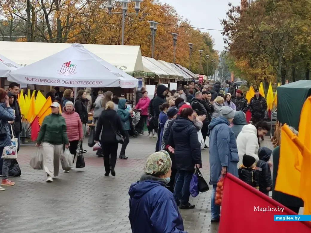Праздник урожая «Багач». Могилев, площадка у ДК области. 1.10.2022 г