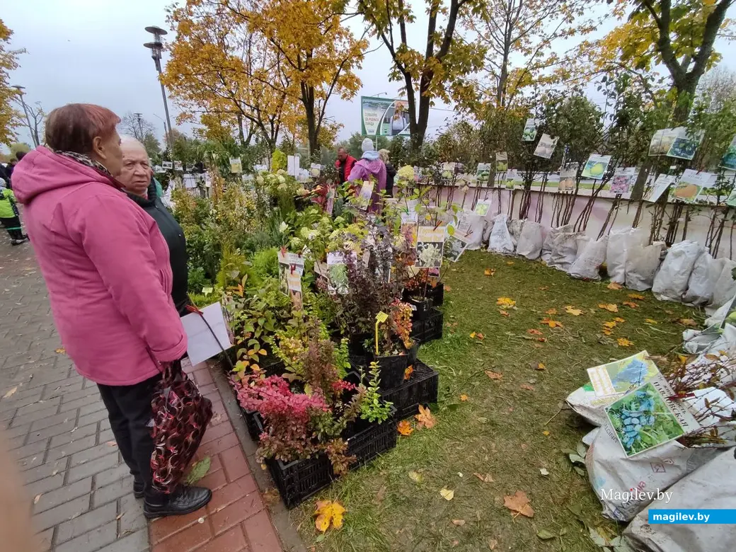 Праздник урожая «Багач». Могилев, площадка у ДК области. 1.10.2022 г