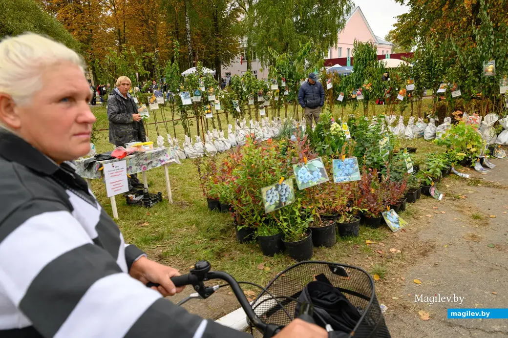30.09.2022. Бобруйск. Районный фестиваль-ярмарка тружеников села «Дожинки-2022» в агрогородке Большие Бортники Бобруйского района