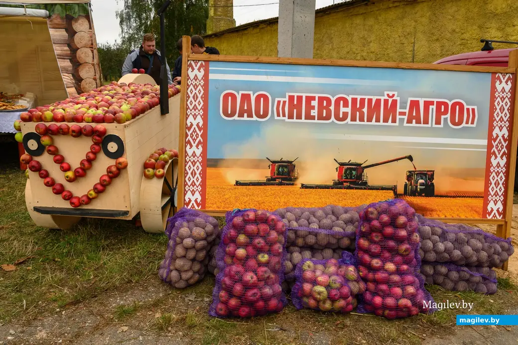 30.09.2022. Бобруйск. Районный фестиваль-ярмарка тружеников села «Дожинки-2022» в агрогородке Большие Бортники Бобруйского района