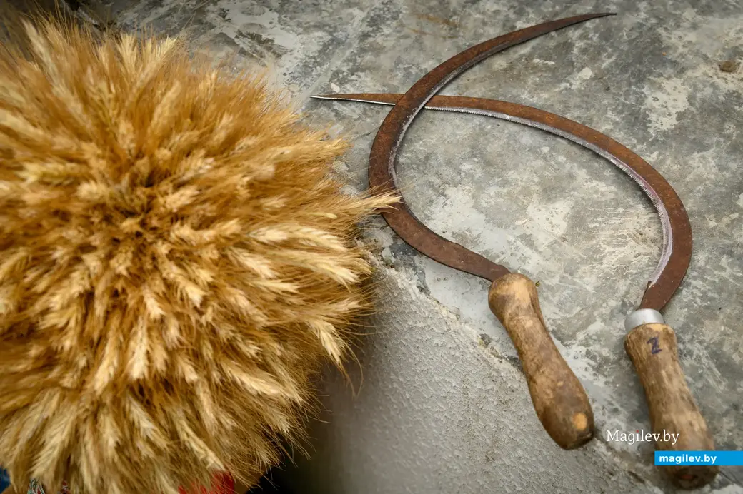 30.09.2022. Бобруйск. Районный фестиваль-ярмарка тружеников села «Дожинки-2022» в агрогородке Большие Бортники Бобруйского района