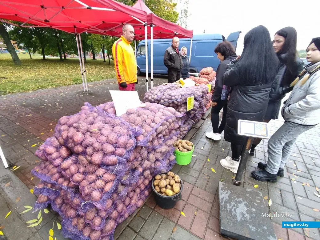 Праздник урожая «Багач». Могилев, площадка у ДК области. 1.10.2022 г
