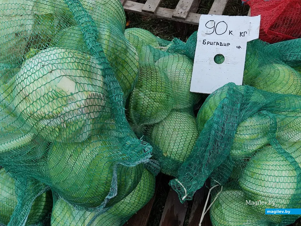 Праздник урожая «Багач». Могилев, площадка у ДК области. 1.10.2022 г