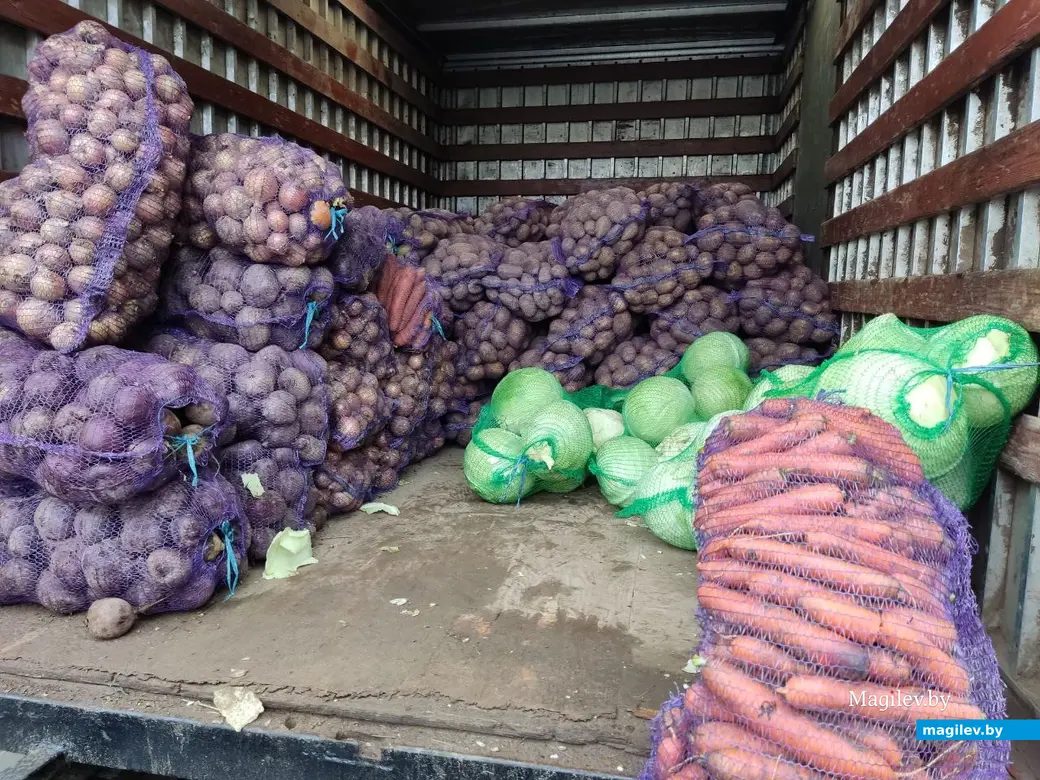 Праздник урожая «Багач». Могилев, площадка у ДК области. 1.10.2022 г