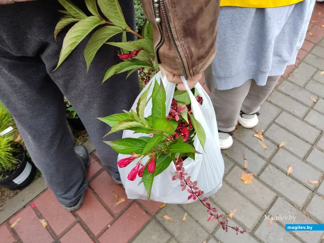 Праздник урожая «Багач». Могилев, площадка у ДК области. 1.10.2022 г