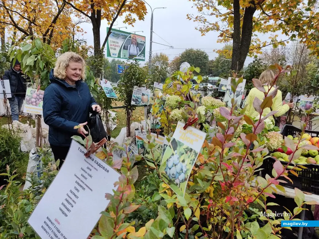 Праздник урожая «Багач». Могилев, площадка у ДК области. 1.10.2022 г