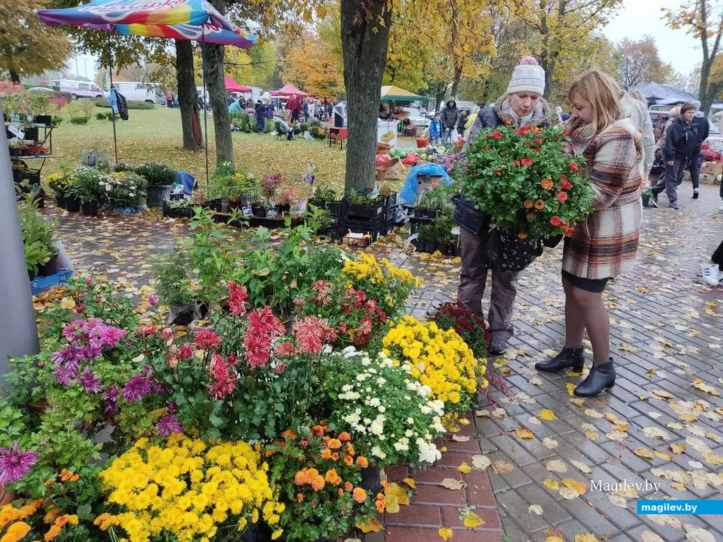 Праздник урожая «Багач». Могилев, площадка у ДК области. 1.10.2022 г