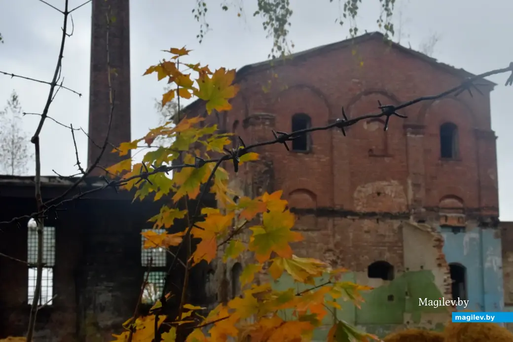 Бобруйск, 1.10.2022. Здание бывшего винзавода (1897г.)