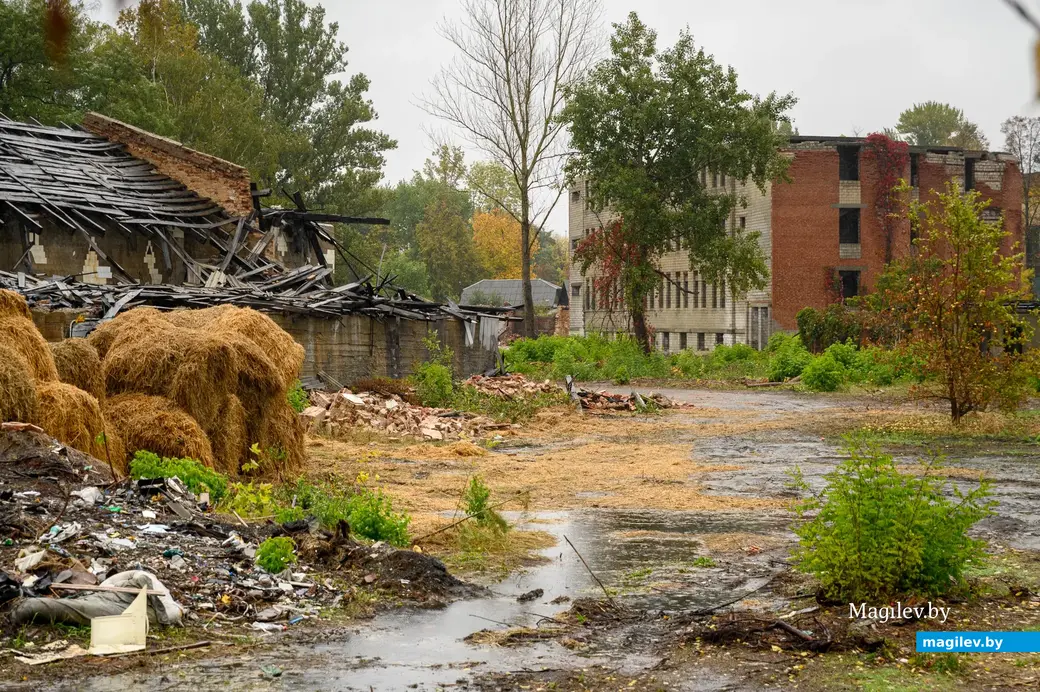 03.10.2022. Бобруйск. Подрыв здания бывшего завода виноградных напитков на улице Новошоссейной