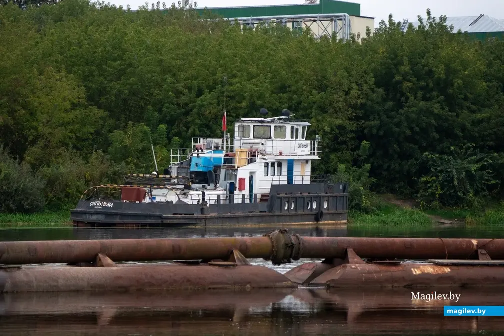 27.09.2022. Бобруйск. В строительстве моста используется песок, добываемый выше по течению.