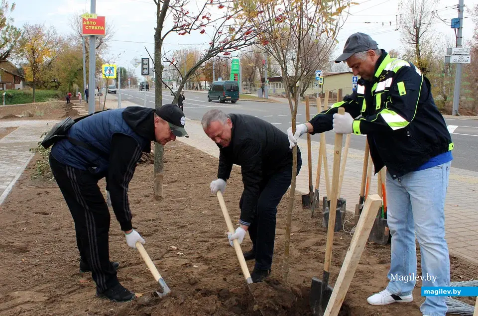 Владимир Цумарев (в центре) на городском субботнике.