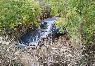 В Бобруйске бесправник съехал в кювет. В результате ДТП никто не пострадал