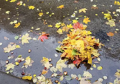 На Бабье лето не похоже: завтра – кратковременные дожди и от + 9 градусов