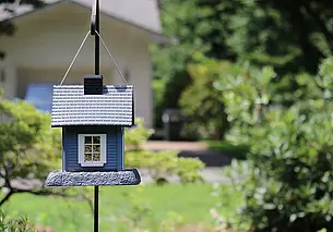 Может ли внучка принять наследство, если дедушка не оставил завещания?