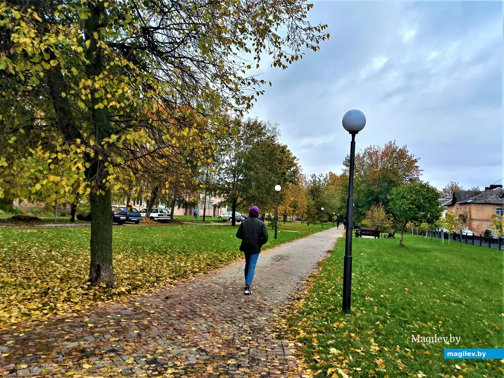 Перпендикулярно улице Челюскинцев проходит улица Менжинского, которая может похвастаться этой зеленой зоной. Могилев, район Серого дома (ул. Челюскинцев, 54). 05.09.2022