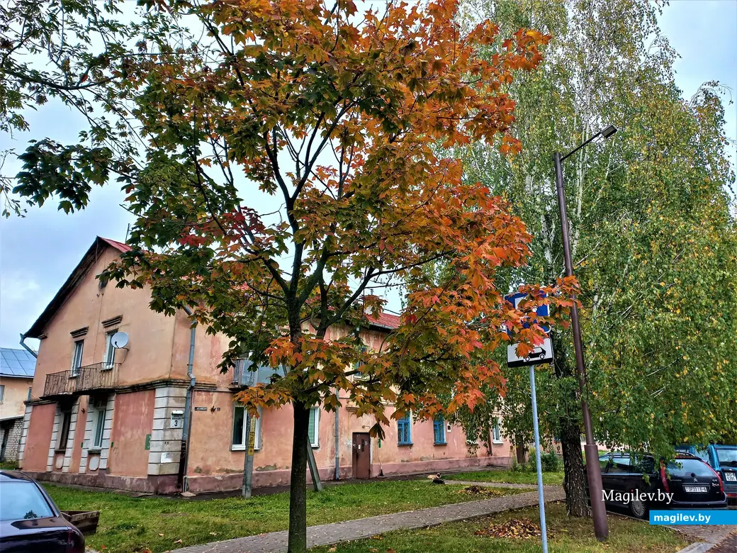 Улица Менжинского. Со времен молодости Бори Моисеева она почти не изменилась. Если не считать спутниковые антенны и всевозможные автомобили. Могилев, район Серого дома