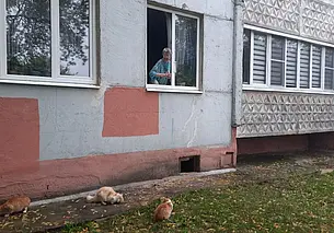 По «ее» котам можно сверять часы