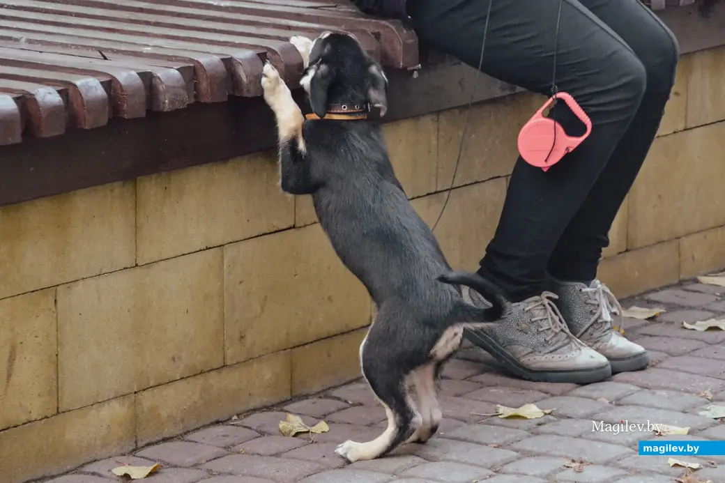 06.10.2022 г. Могилев. Осенние фотозарисовки