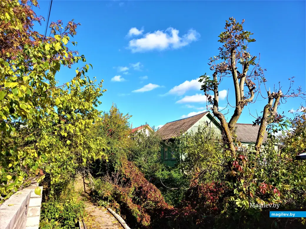 Недалеко от этого места на Дачном я встретил Володю около 10лет назад.