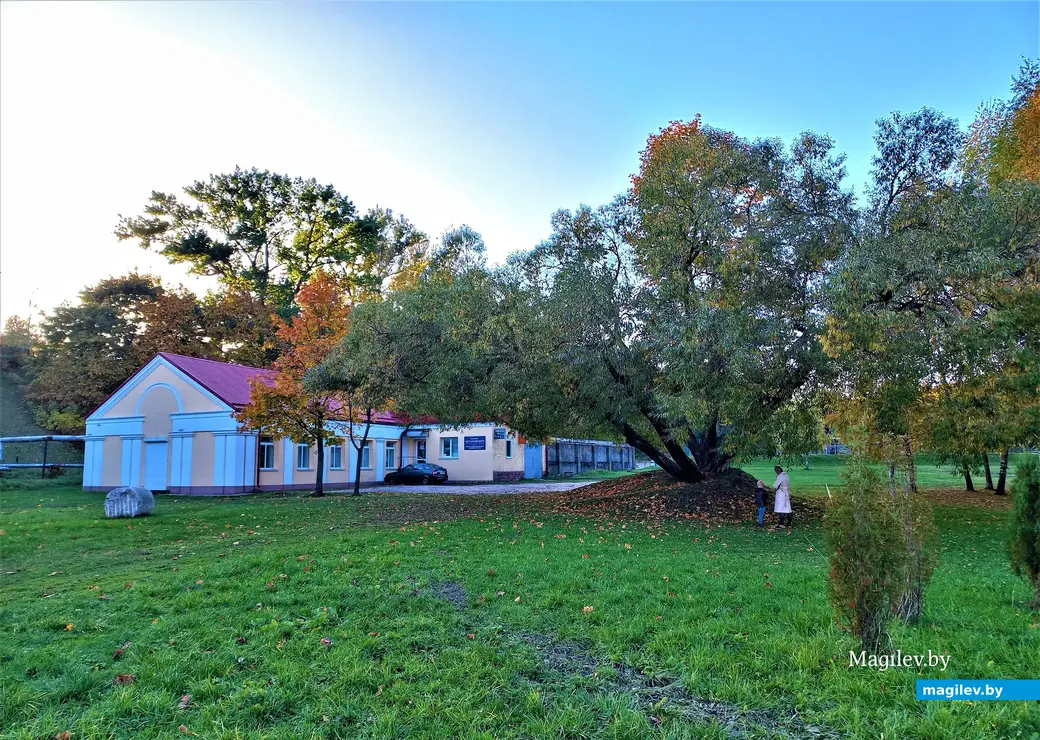 Галерея Андрея Воробьева на Дубровенке. Могилев, 07.10.2022 г.