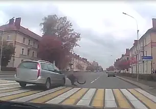 В Бобруйске под колеса легковушки попал велосипедист