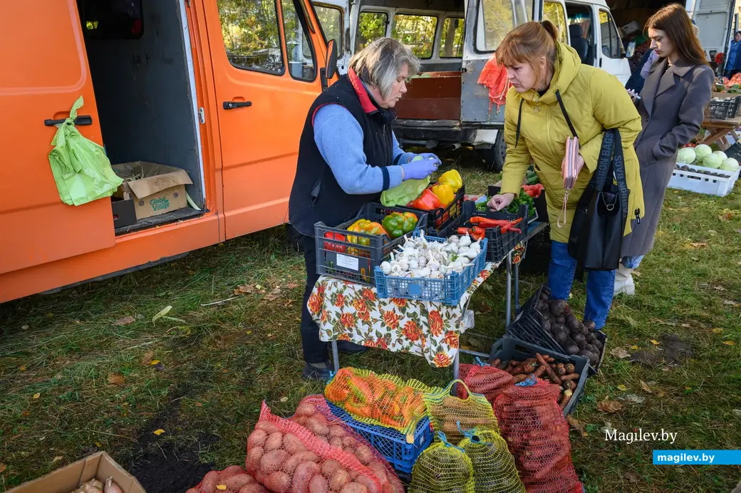 08.10.2022. Глушанский сельский Совет. Региональный фестиваль народного искусства и ремесел «Глушанскі хутарок»