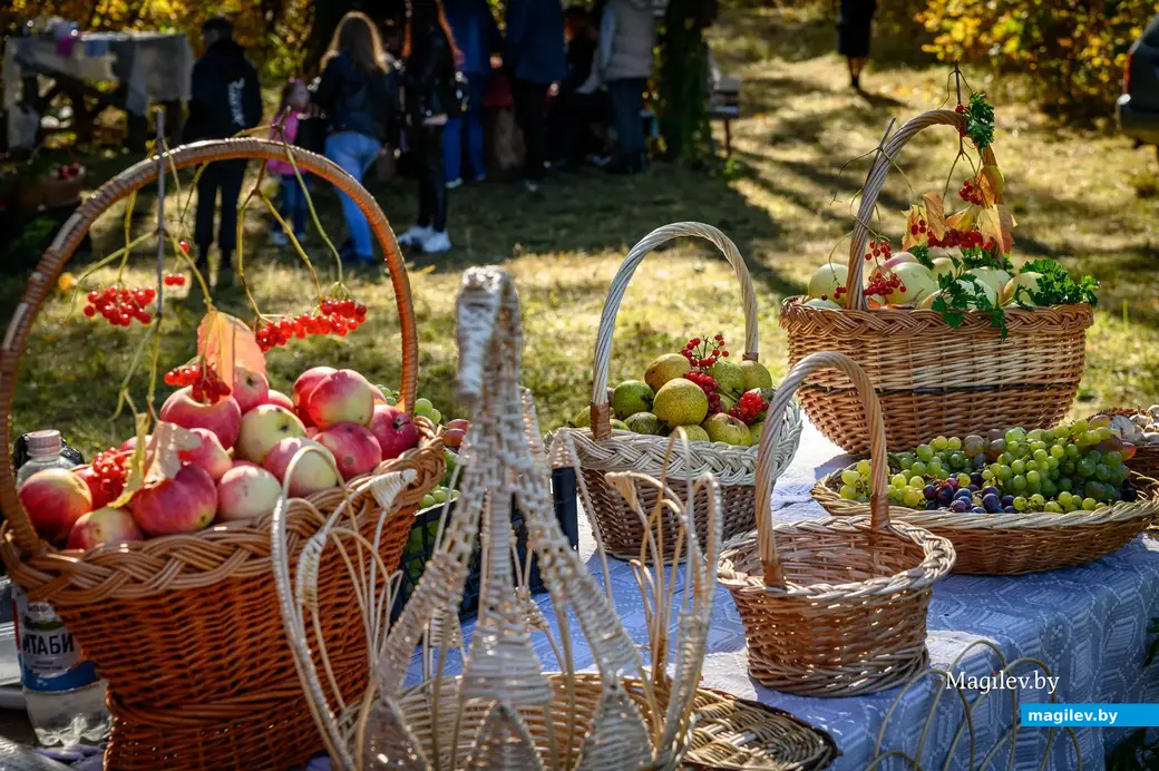 08.10.2022. Глушанский сельский Совет. Региональный фестиваль народного искусства и ремесел «Глушанскі хутарок»