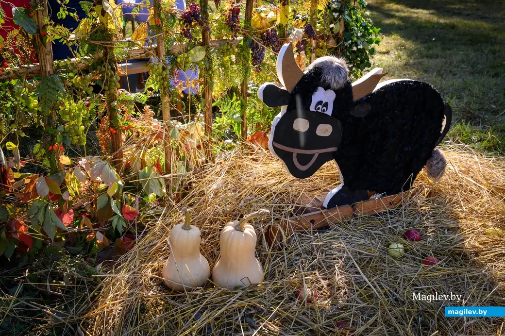 08.10.2022. Глушанский сельский Совет. Региональный фестиваль народного искусства и ремесел «Глушанскі хутарок»